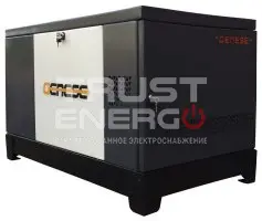 Газовый генератор Genese Standard 12000 Neva кожухе В кожухе  LC2V78FD-2 trustenergo.ru