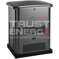 Газовый генератор Briggs & Stratton G80 с АВР